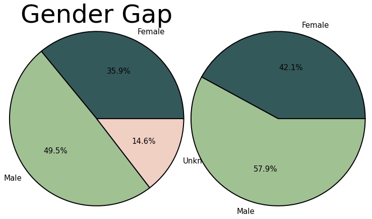 Gender Gap